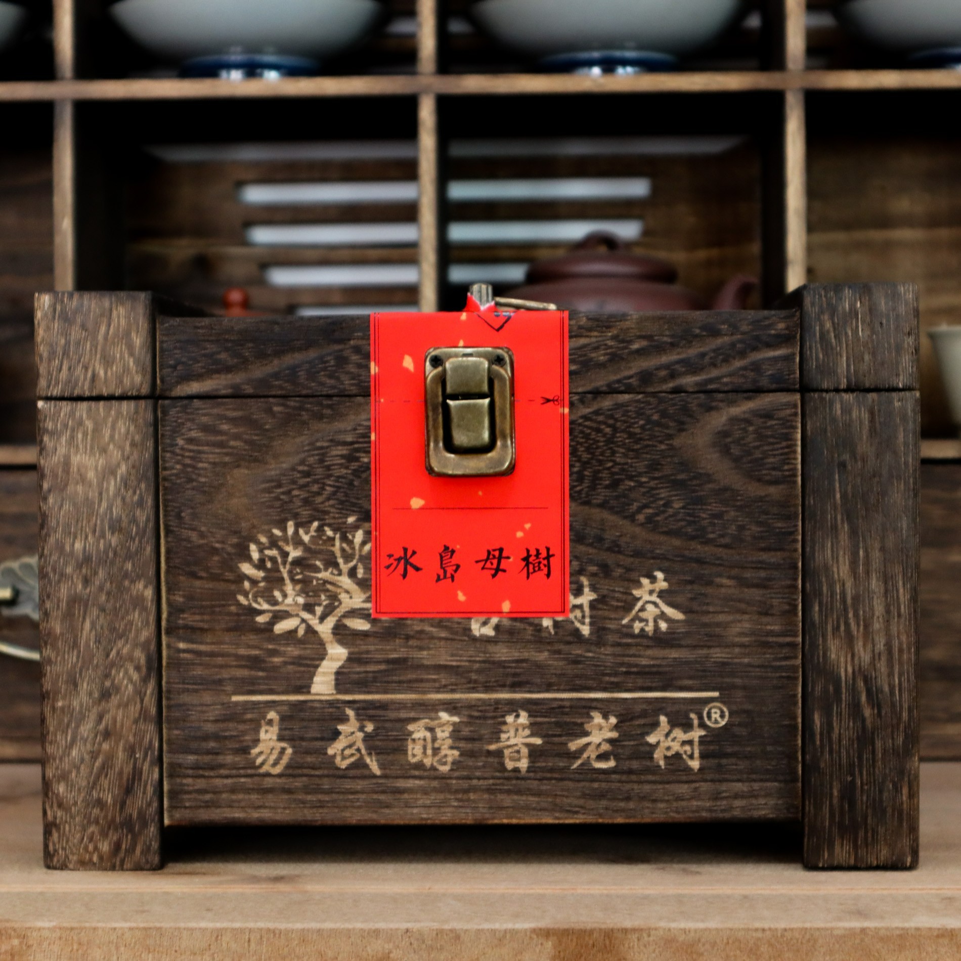 2024年 冰岛母树 三百年古树头春散茶 普洱生茶