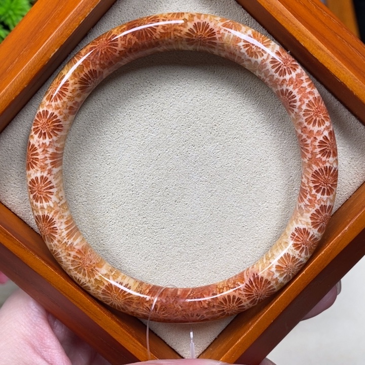 硅化珊瑚（珊瑚玉）手镯未镶嵌60.3