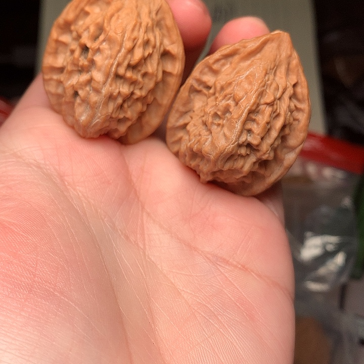 33尺寸全品沧州铁狮子文玩核桃