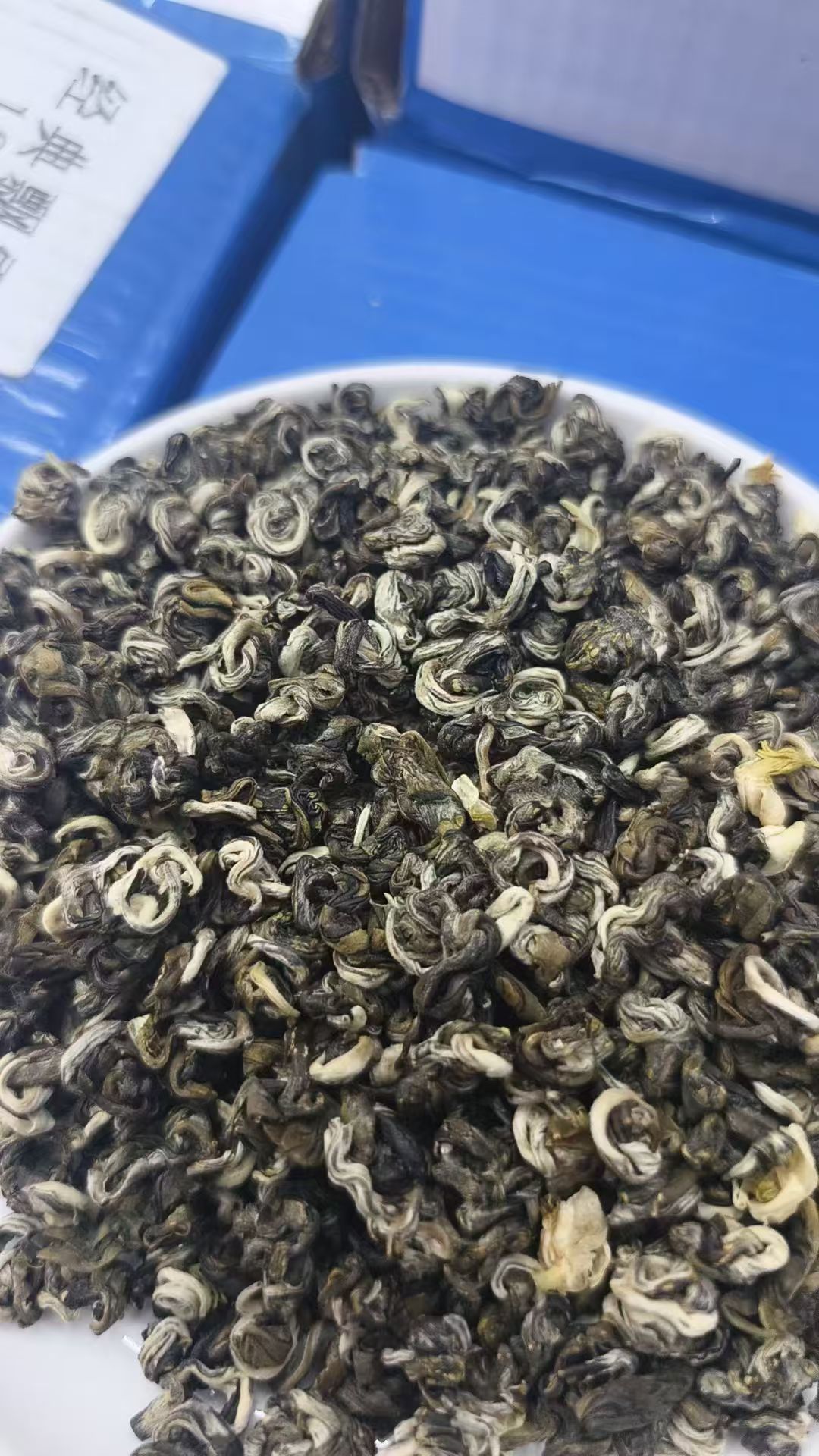 半斤装茉莉玉螺王 茉莉花茶 2025新茶浓香广西横县龙豪玉螺可冷泡