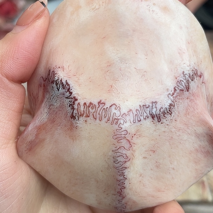 养殖鹿骨三界牌子