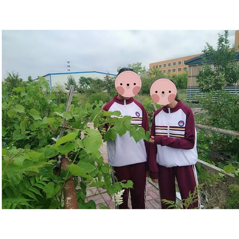 独山子初中春秋运动服