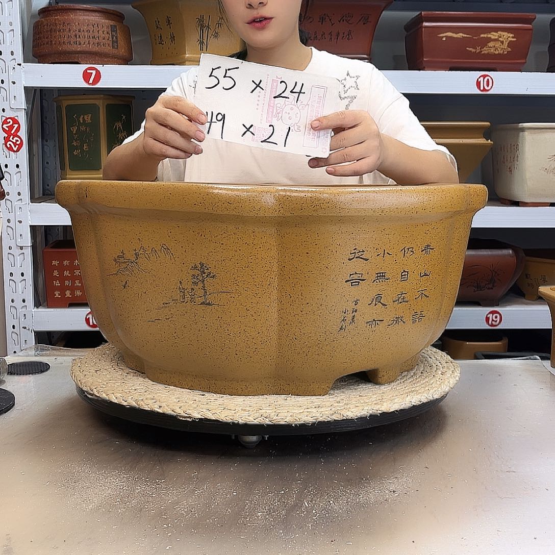 紫砂花盆紫砂花盆