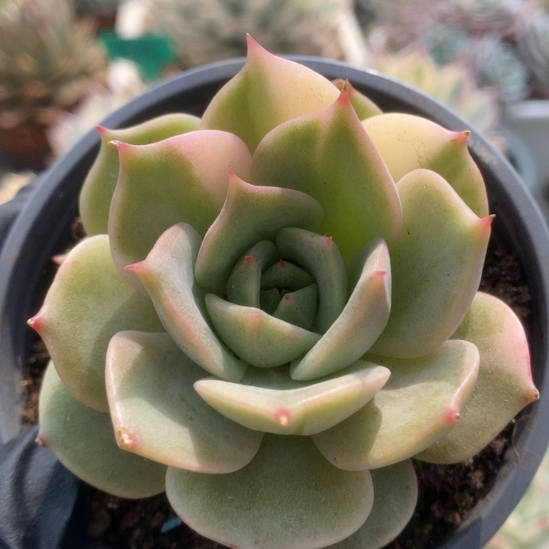 008贝加尔湖锦锦锦锦锦锦