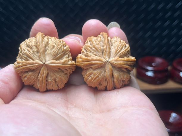 白狮子球四 文玩核桃