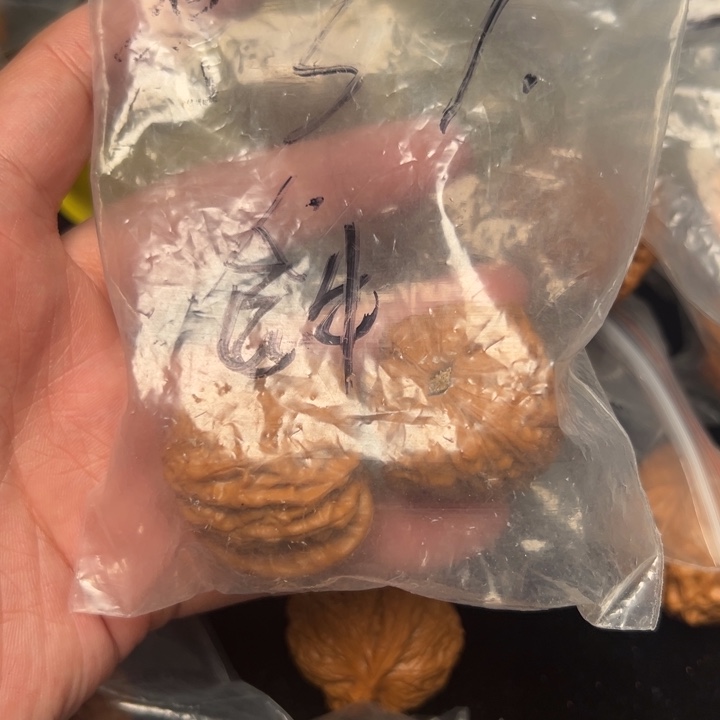 核桃小**?金牛，37，已打底