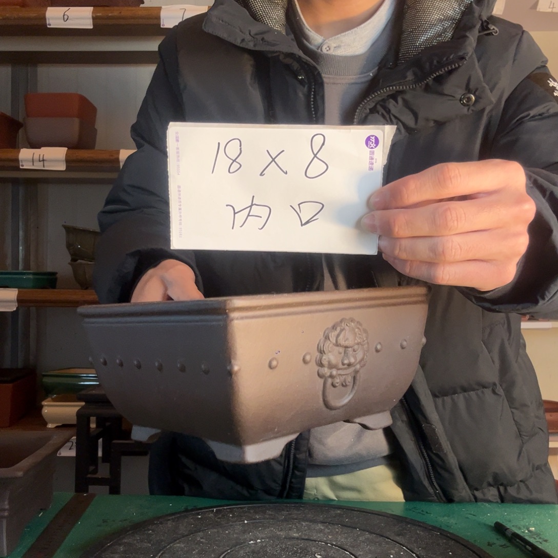 把v规范的人也好规范