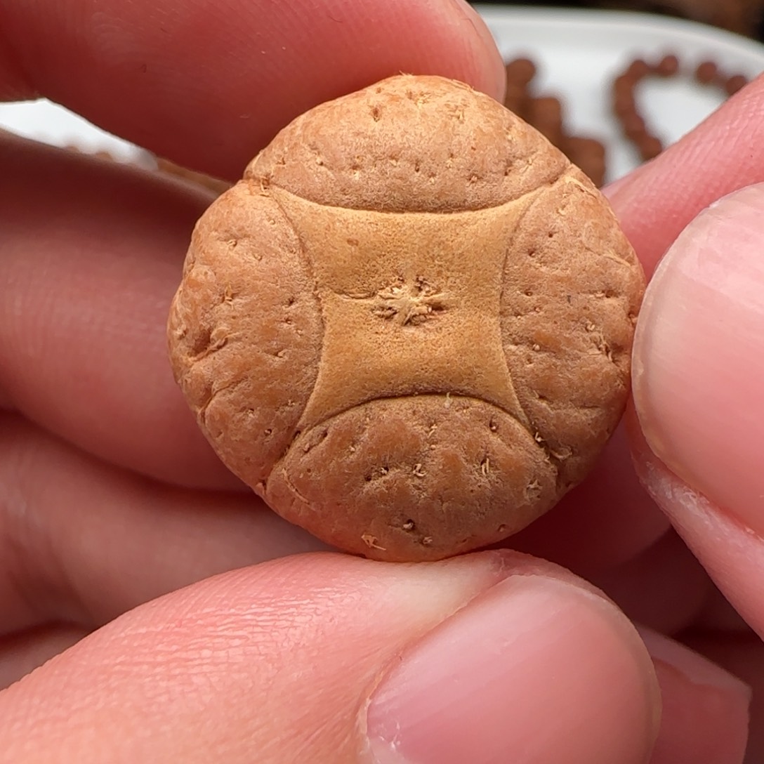 D***r吊坠凤眼菩提22➕精品麒麟