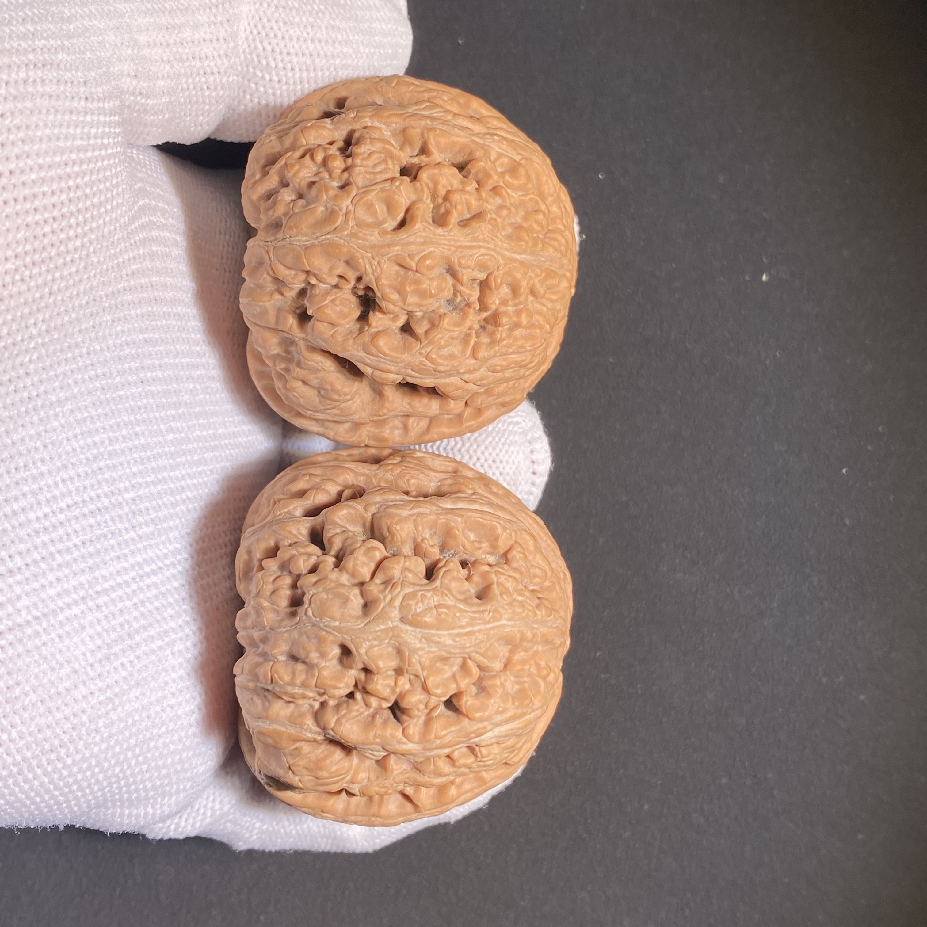 粗筋麻核桃（全品白茬） d