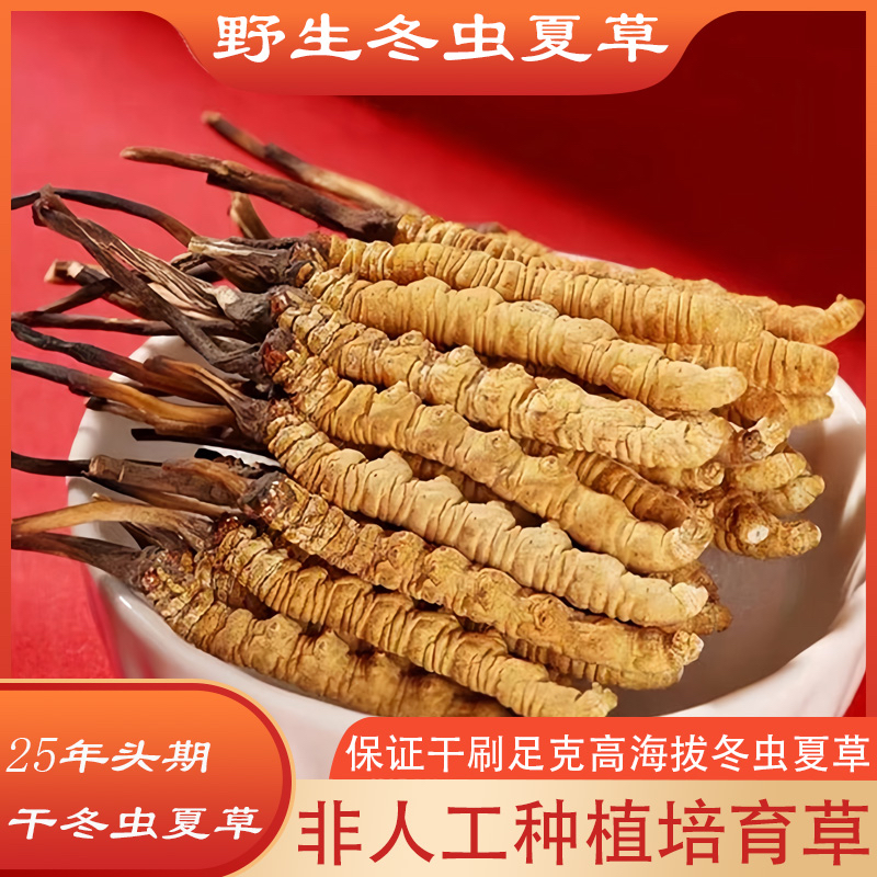 西藏那曲正宗冬虫夏草（4根1克）非人工种植培育虫草