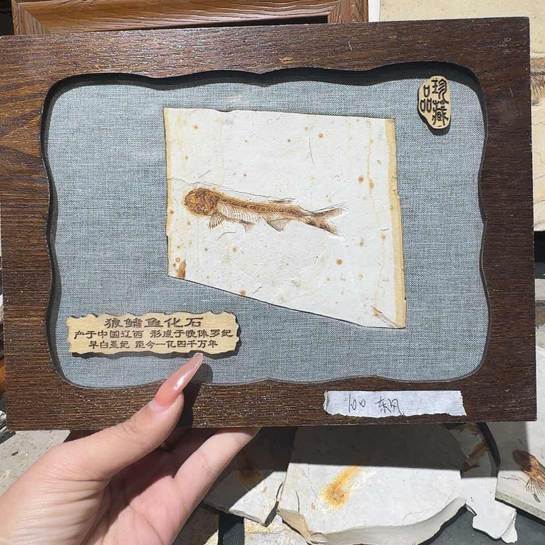 有机玻璃摆件摆件摆件摆件摆件