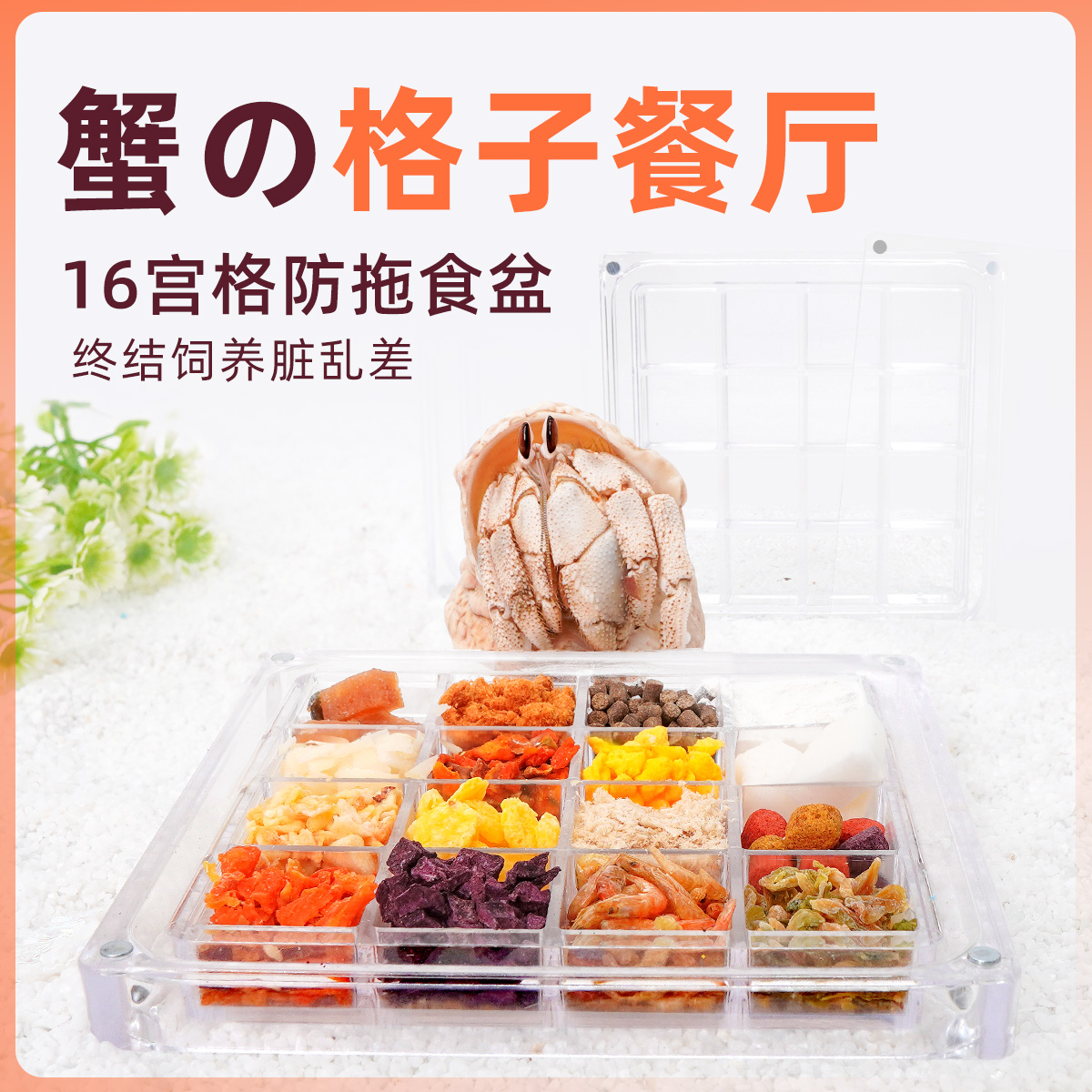 寄居蟹的格子餐厅～防拖食盆分餐带盖食盆稳固寄居蟹水盆食盆