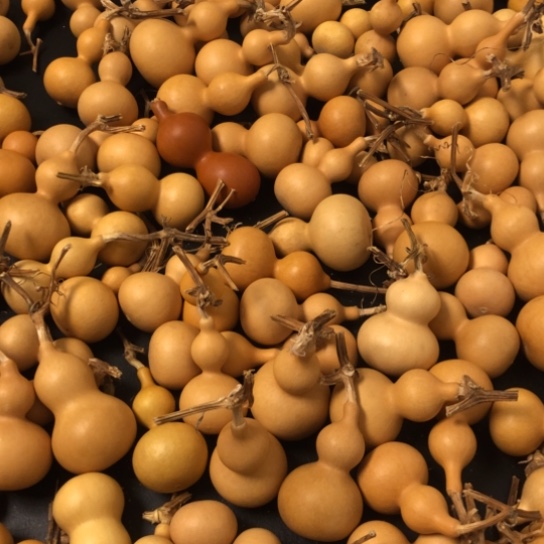 碉***编葫芦通货价格不退不换