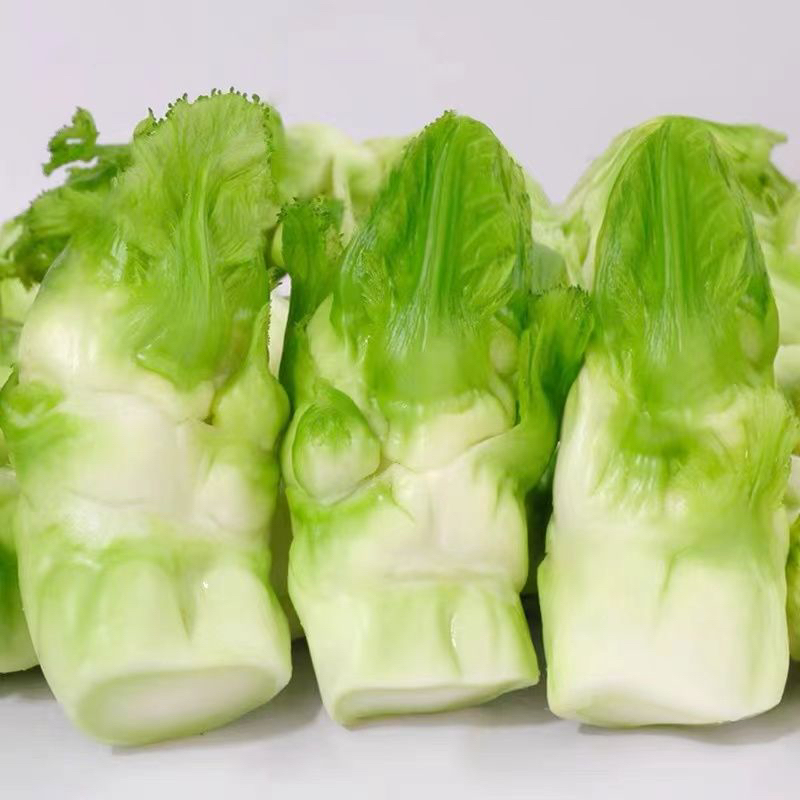 儿菜新鲜只发儿仔嫩娃娃菜蔬菜芥菜抱儿菜多子南充菜泡菜原料