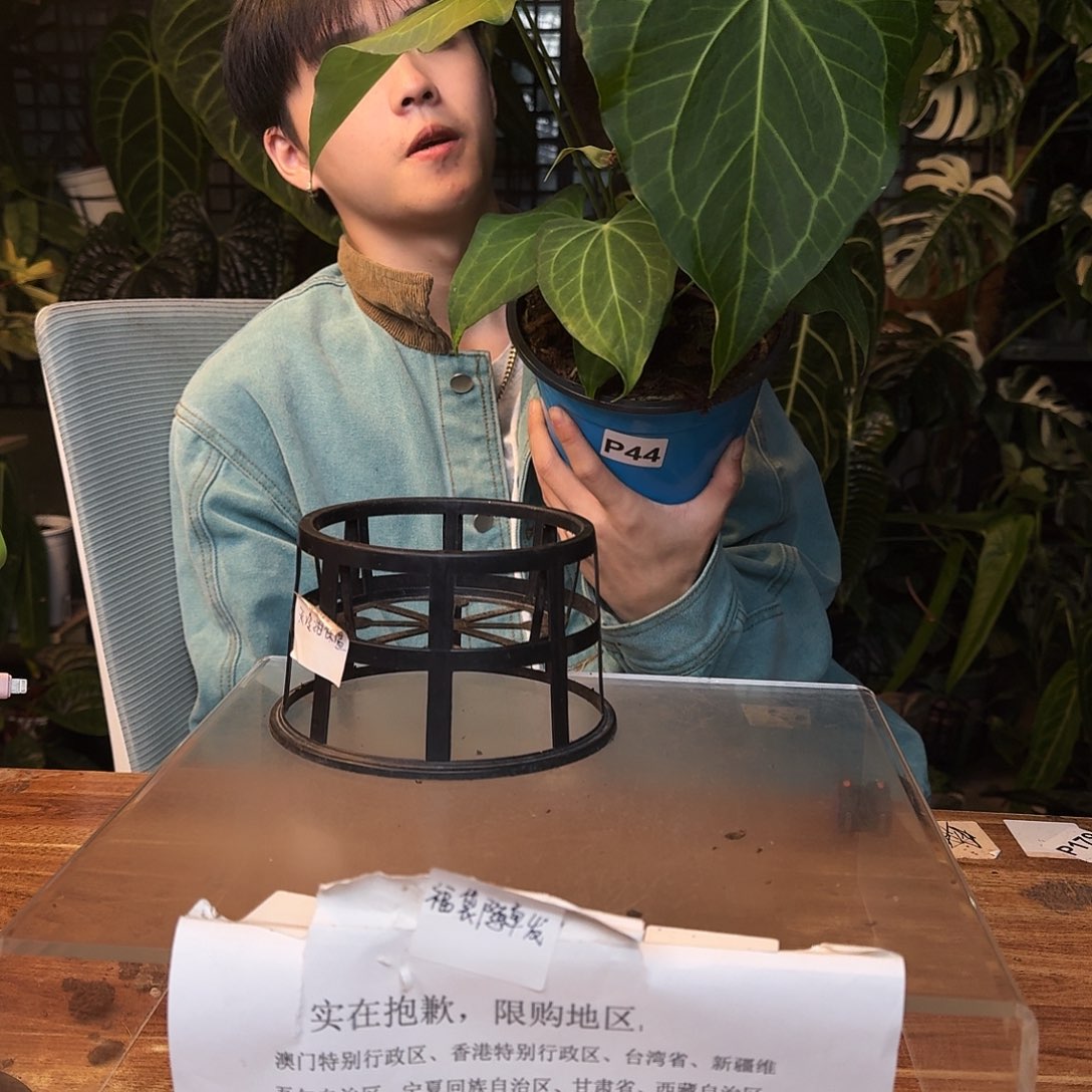 完全开放H141三角洲