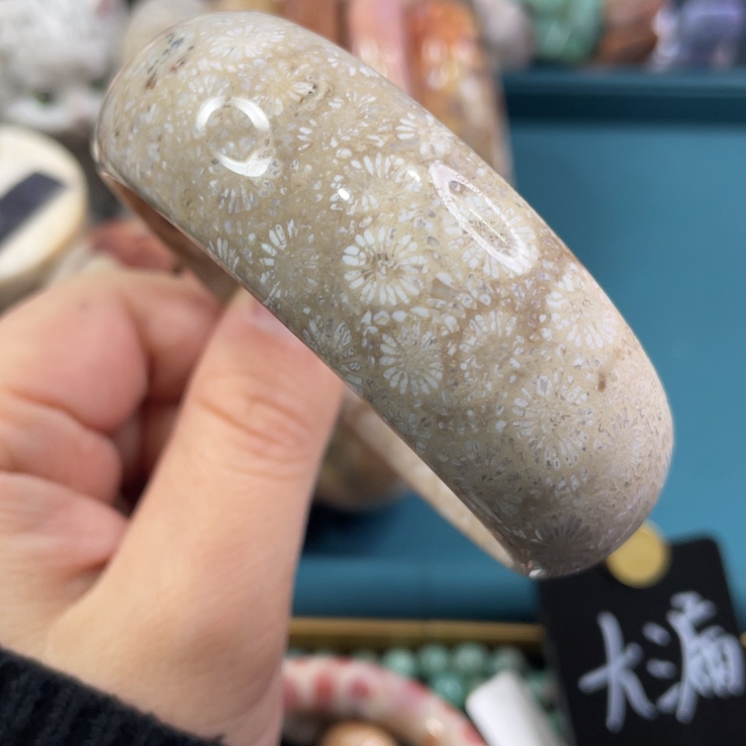 未镶嵌手镯硅化玉