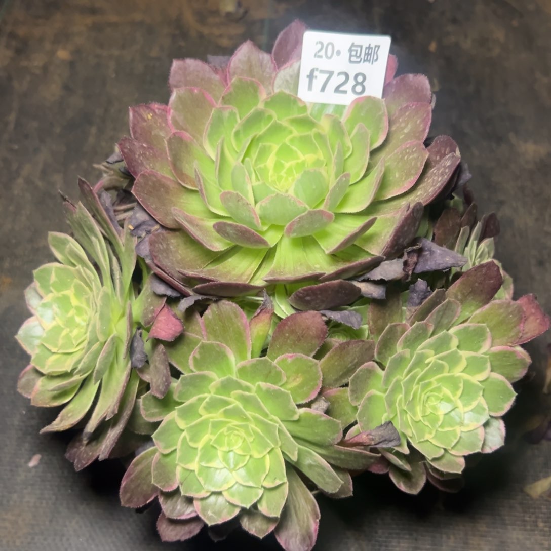 728万花筒满20包邮，