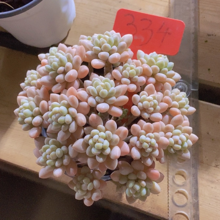 这个我都看出来这