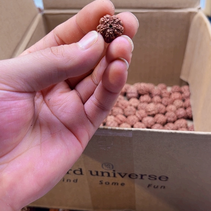 金刚菩提吊坠18尺寸原生态霸王花