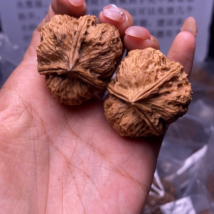 核桃云南野生铁核桃125号37mm