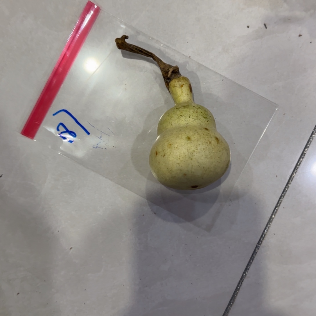 D***l青皮不包成青皮不包成