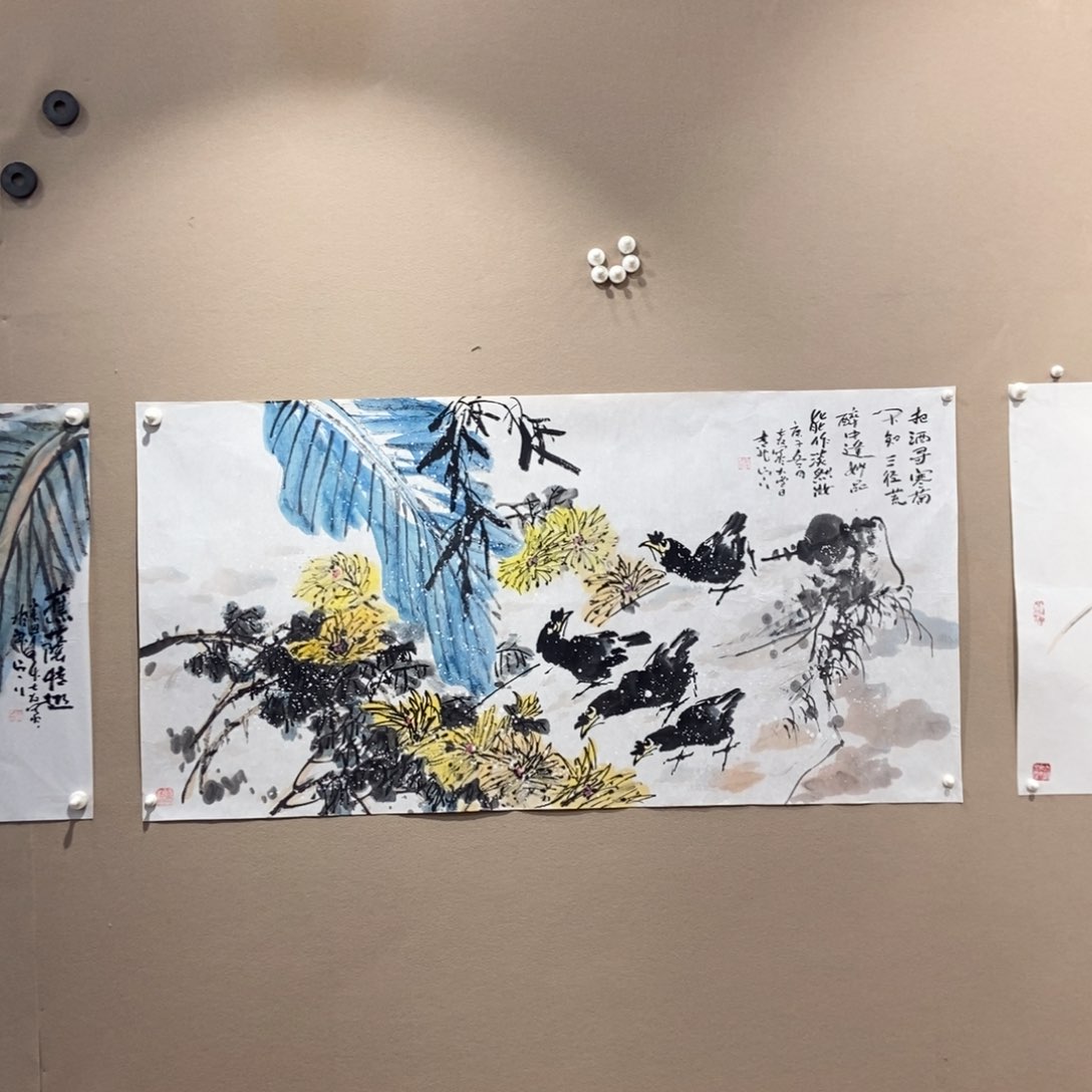 【闪购商品】国画用****3墨鱼精品墨鱼精品