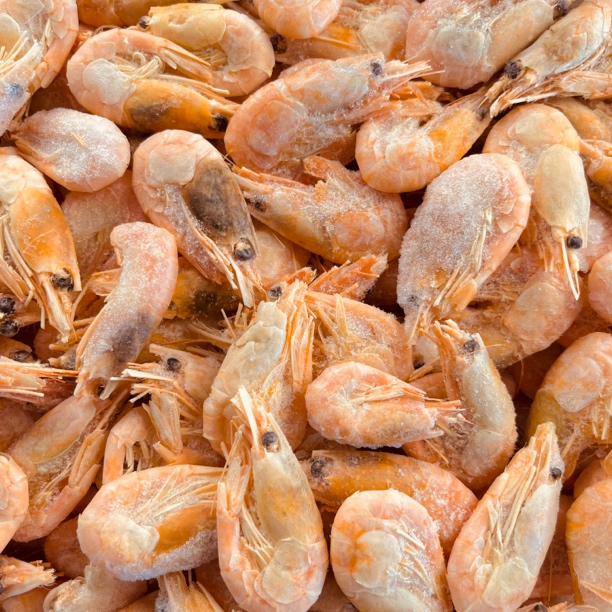 北极甜虾残虾大小混装甜虾 有黑头无售后