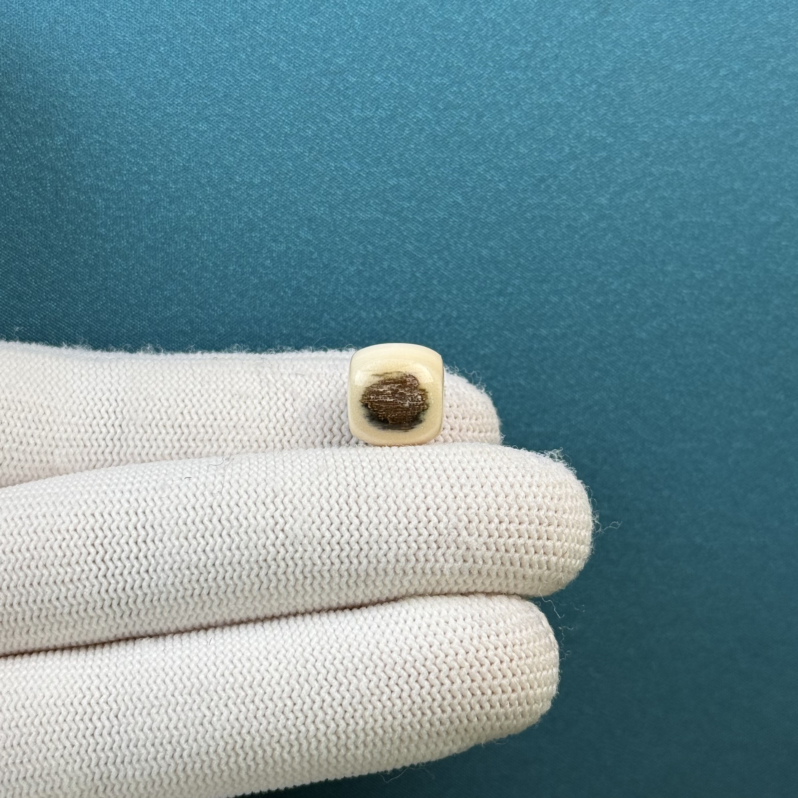 D50-58天然猛犸牙 蓝眼睛老型珠 11.4*10.4mm一物一图假一罚十