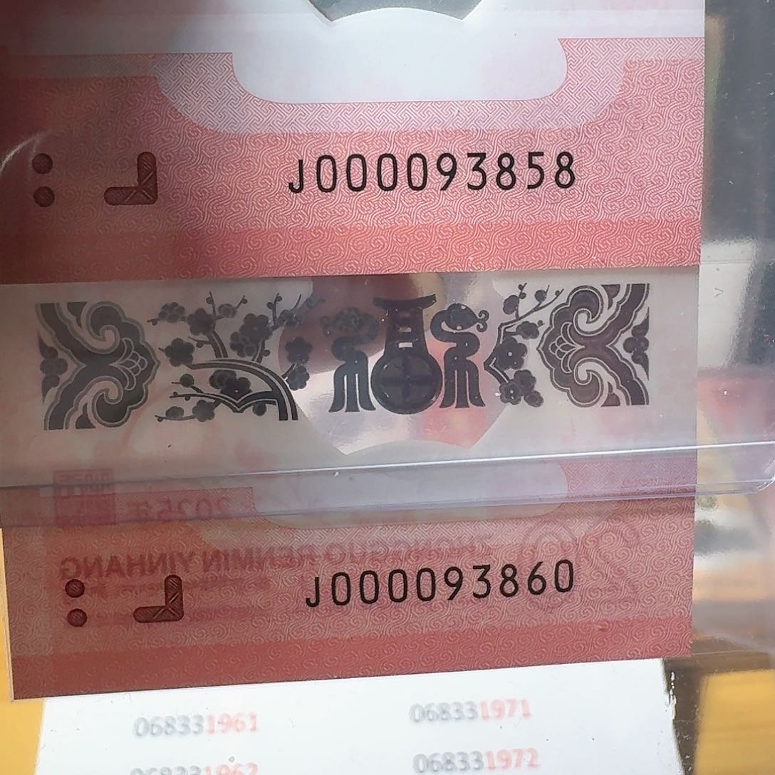 塑料蛇钞大司令00009关门号两张