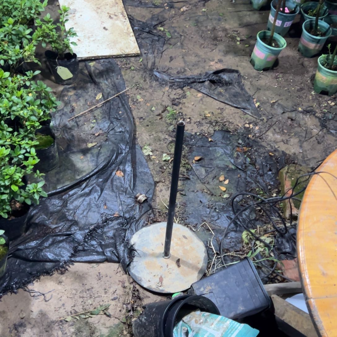 冷***卿完全开放补差价补差价