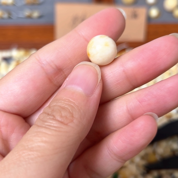 蜜蜡未镶嵌裸石12.1mm一个
