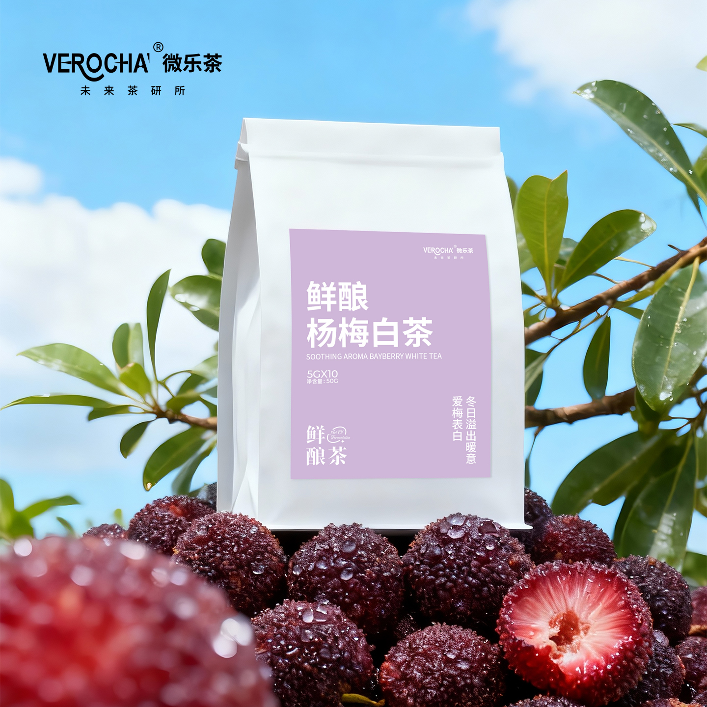 微乐茶 鲜酿元气杨梅白茶水果茶包0香精0蔗糖便携冷泡热泡袋泡茶