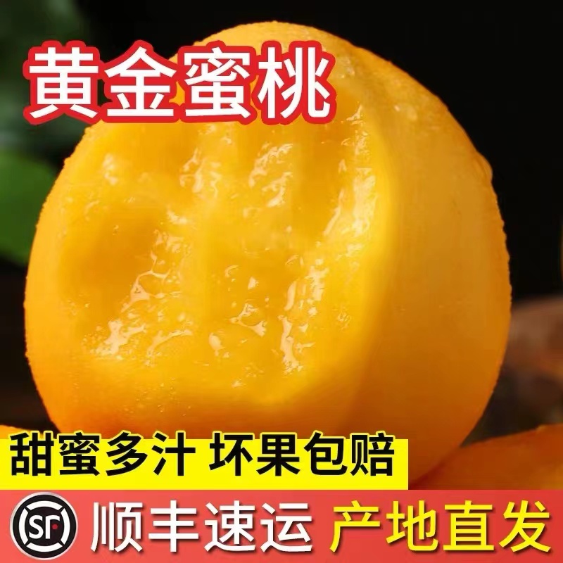 顺丰包邮芒果黄金蜜桃新鲜现摘现发货巨甜爆汁装精品礼盒包邮