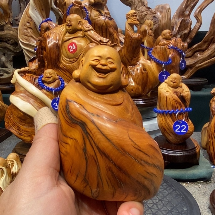 柏木（崖柏）悬崖边缘的太行崖柏