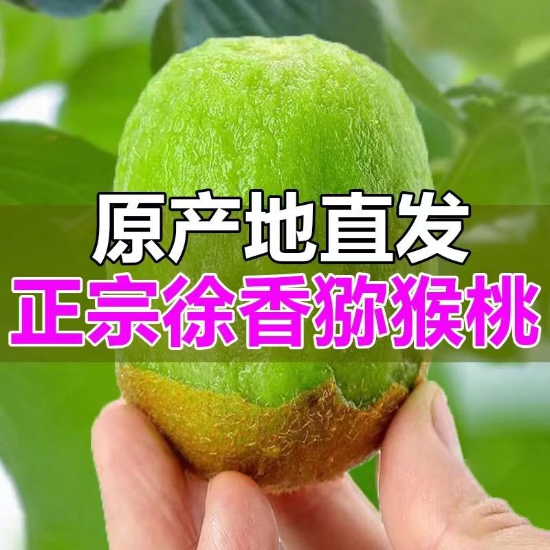 正宗陕西周至眉县徐香猕猴桃奇异果当季新鲜水果香甜多汁现摘现发