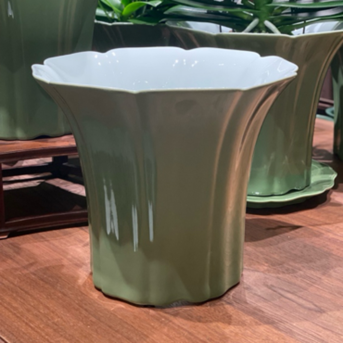 【松竹东门联名款】花木者/HUAMUZHE斗盆绿釉陶瓷盆蝴蝶兰