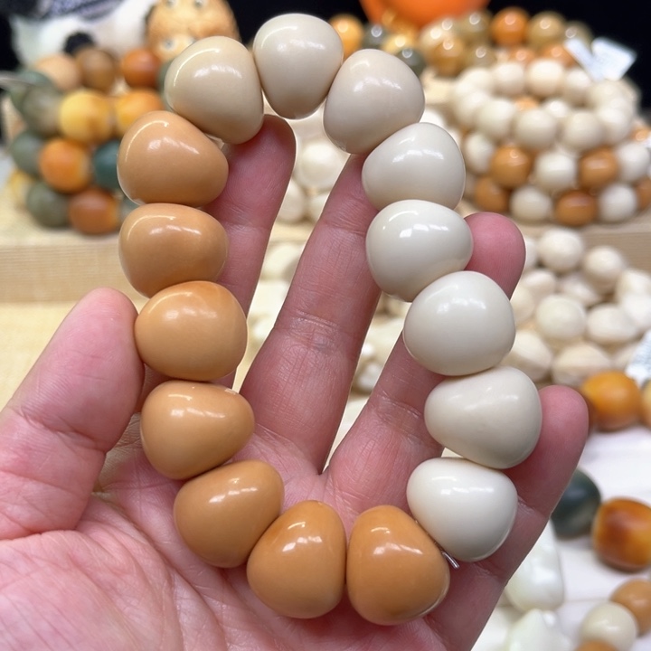 菩提根/象牙果手串1-24-7 象牙果手抛蒜瓣肠