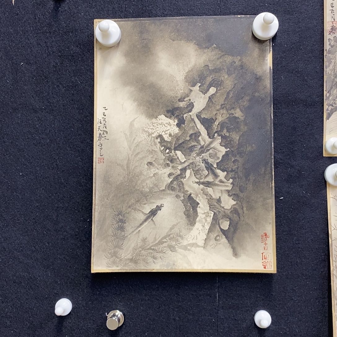 国画手绘国画，精品鱼乐图，宣卡