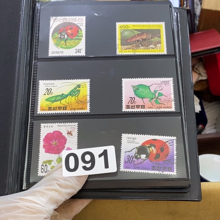 瓷片哦哦哦哦哦哦哦哦哦哦