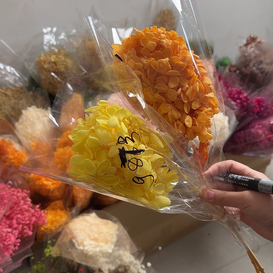 G87好1组绣球2枝木绣球