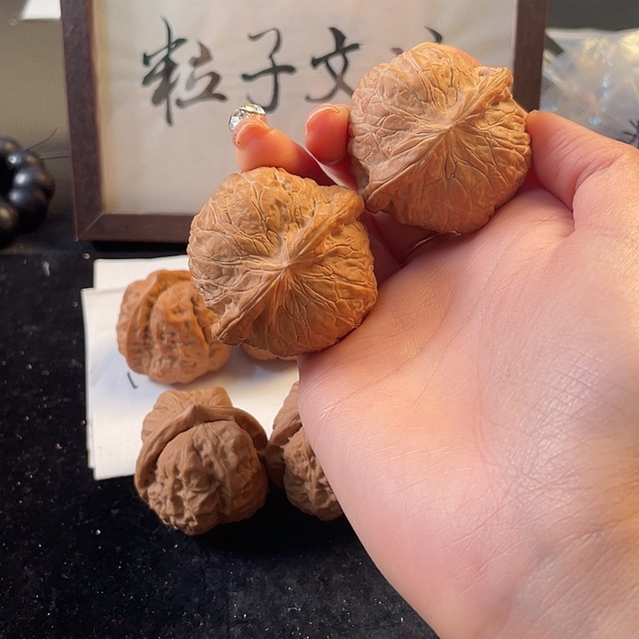 大叶紫檀（黑酸枝木类）