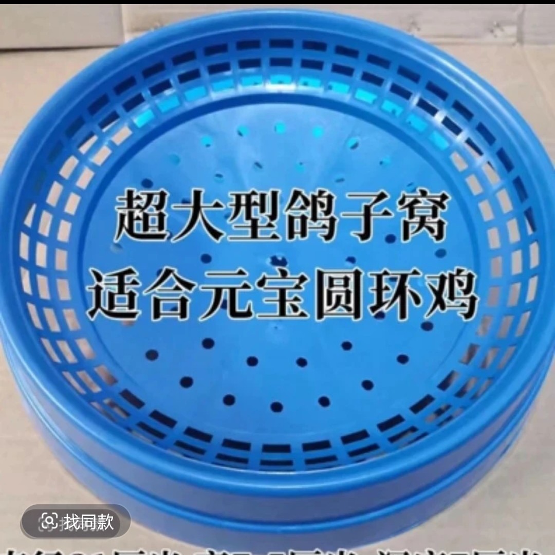 加大加厚塑料元宝圆环大体型鸽窝结实耐用好清理