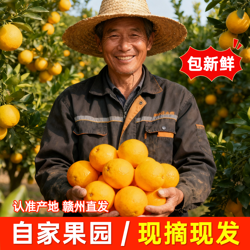 赣南脐橙新鲜采摘果园直发十斤装大果孕妇当季水果补充维c甜橙子