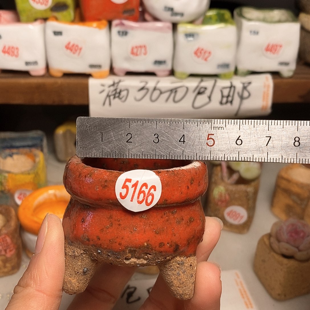 红陶拍5送一个小