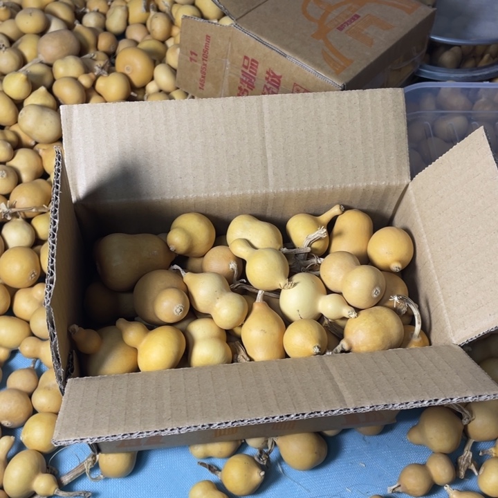 默认微瑕不退不换