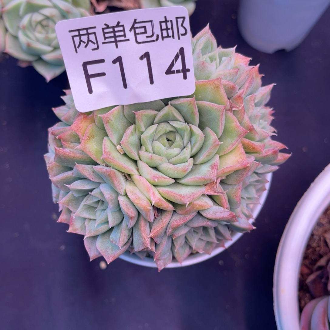 哈哈哈哈哈哈哈114