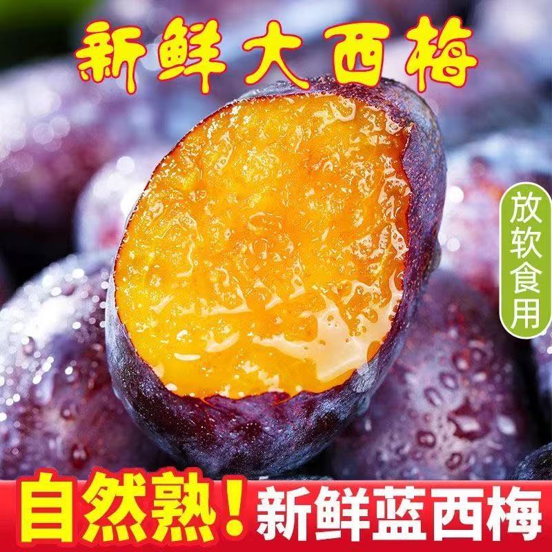 新鲜现摘大西梅鲜果正宗西梅西梅酸甜可口