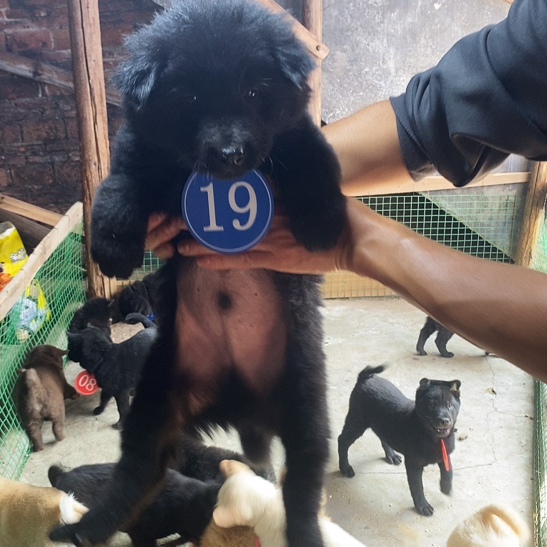 五黑公112121111户9988888