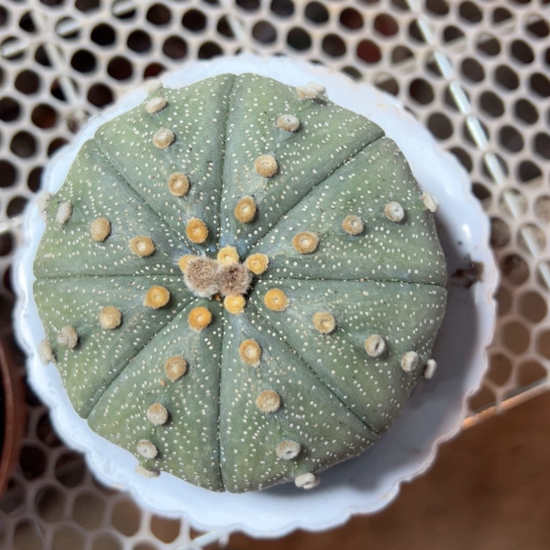 花***b哈哈哈哈哈哈哈哈哈哈