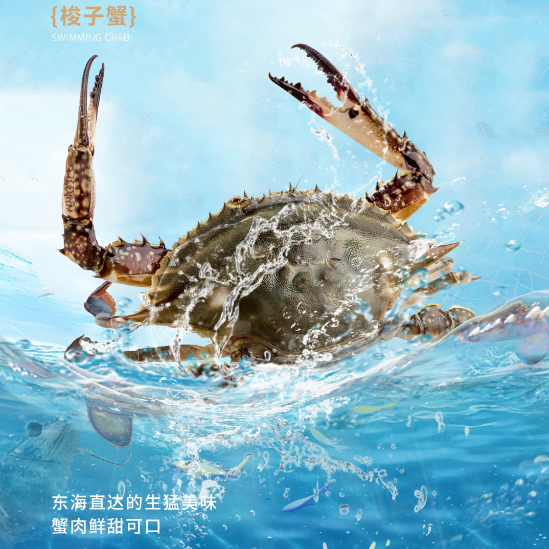 【保鲜不保活】梭子蟹2两/只-1斤